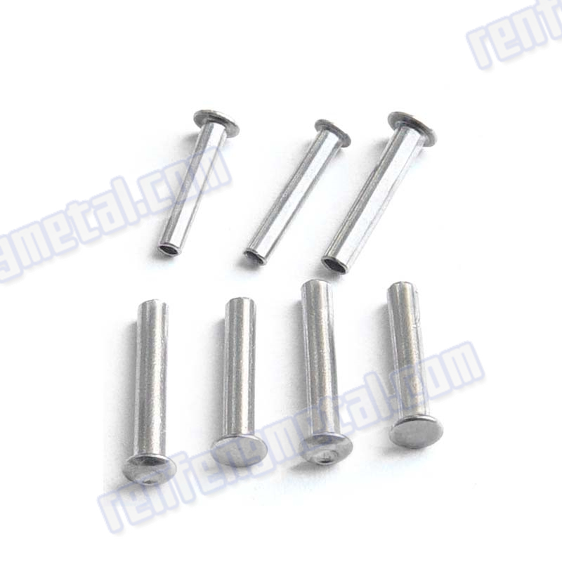 round head Stainless Steel Solid Rivet